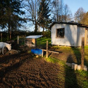 Venta parcela de 5.000 m² con domo amoblado, estero natural y entorno único a solo 8 minutos de Osorno full