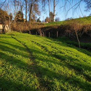 Venta parcela de 5.000 m² con domo amoblado, estero natural y entorno único a solo 8 minutos de Osorno full