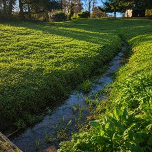 Venta parcela de 5.000 m² con domo amoblado, estero natural y entorno único a solo 8 minutos de Osorno full