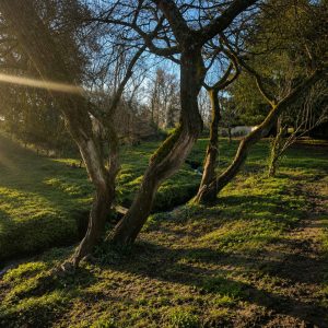 Venta parcela de 5.000 m² con domo amoblado, estero natural y entorno único a solo 8 minutos de Osorno full