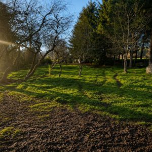 Venta parcela de 5.000 m² con domo amoblado, estero natural y entorno único a solo 8 minutos de Osorno full