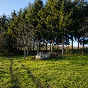 Venta parcela de 5.000 m² con domo amoblado, estero natural y entorno único a solo 8 minutos de Osorno full