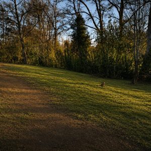 Venta parcela de 5.000 m² con domo amoblado, estero natural y entorno único a solo 8 minutos de Osorno full