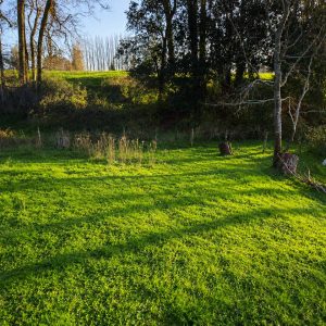 Venta parcela de 5.000 m² con domo amoblado, estero natural y entorno único a solo 8 minutos de Osorno full