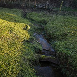 Venta parcela de 5.000 m² con domo amoblado, estero natural y entorno único a solo 8 minutos de Osorno full