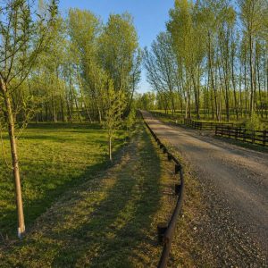 Exclusivo Condominio de Parcelas, a solo 8 km de Osorno por la Ruta a Puerto Octay full