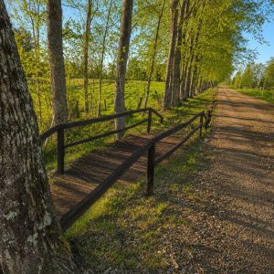 Exclusivo Condominio de Parcelas, a solo 8 km de Osorno por la Ruta a Puerto Octay full