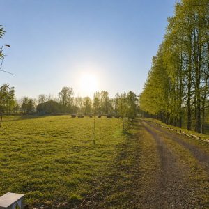 Exclusivo Condominio de Parcelas, a solo 8 km de Osorno por la Ruta a Puerto Octay full