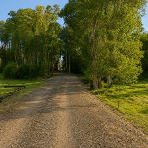 Exclusivo Condominio de Parcelas, a solo 8 km de Osorno por la Ruta a Puerto Octay full