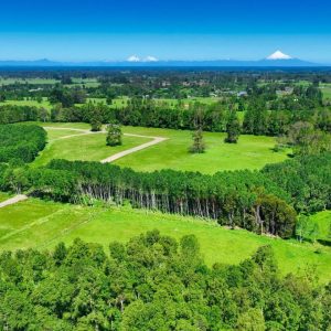 Exclusivo Condominio de Parcelas, a solo 8 km de Osorno por la Ruta a Puerto Octay full