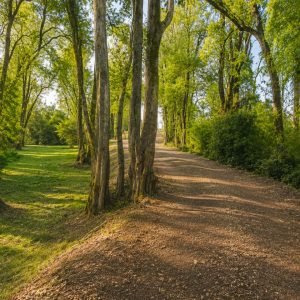 Exclusivo Condominio de Parcelas, a solo 8 km de Osorno por la Ruta a Puerto Octay full
