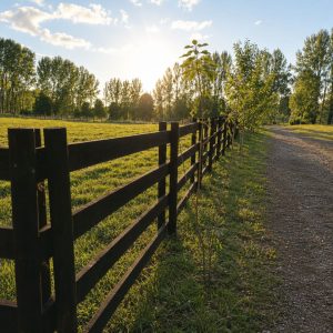 Exclusivo Condominio de Parcelas, a solo 8 km de Osorno por la Ruta a Puerto Octay full