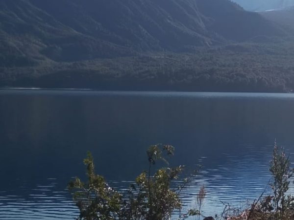Venta Parcela 2,7 Hectáreas / 90 Metros de Playa / Lago Rupanco / Las Gaviotas / Puerto Octay