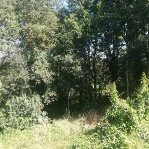 Venta Casa en Parcela, 3 Dormitorios / Ruta U-55 km 12 / Osorno full