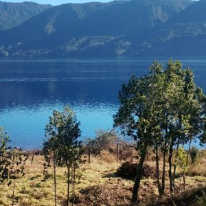Venta Parcela 2,7 Hectáreas / 90 Metros de Playa / Lago Rupanco / Las Gaviotas / Puerto Octay full