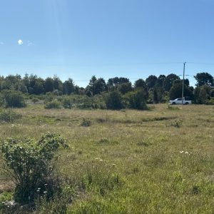 Venta Parcela 5.000 m² / Agua y Luz / Sector Aeropuerto El Tepual / Puerto Montt full