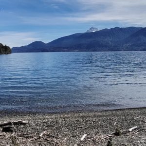 Venta Parcela 2,7 Hectáreas / 190 Metros de Playa / Lago Rupanco / Las Gaviotas / Puerto Octay full