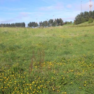 Venta exclusivas Parcelas / 5 minutos de Frutillar / Región de Los Lagos full