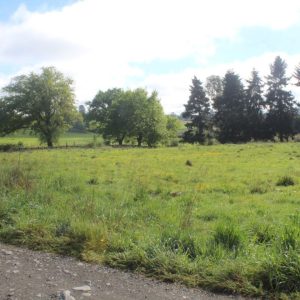 Venta exclusivas Parcelas / 5 minutos de Frutillar / Región de Los Lagos full