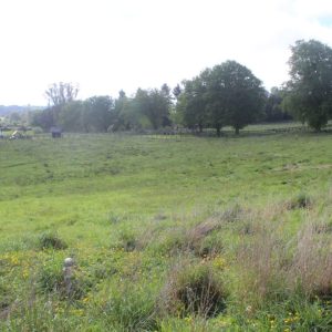 Venta exclusivas Parcelas / 5 minutos de Frutillar / Región de Los Lagos full