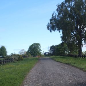 Venta exclusivas Parcelas / 5 minutos de Frutillar / Región de Los Lagos full